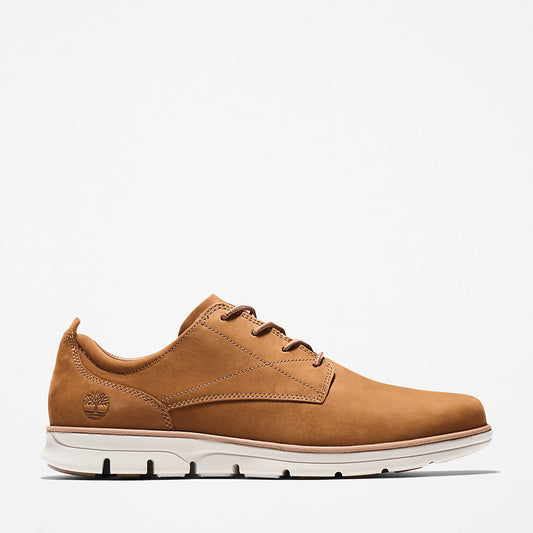Timberland Trusted - Bradstreet Sneaker for Men in Brown