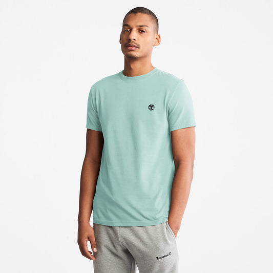 Timberland Popular - Dunstan River T-Shirt for Men in Light Green