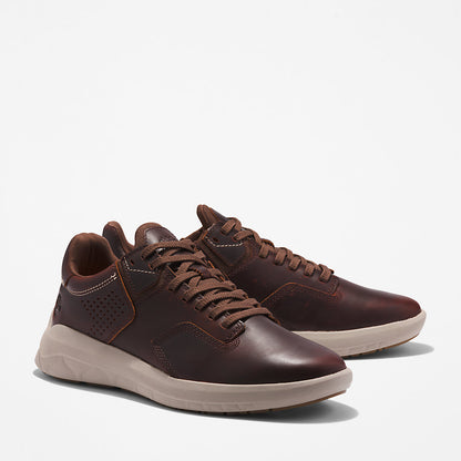 Timberland Classic - Bradstreet Ultra EK+ Trainer for Men in Dark Brown