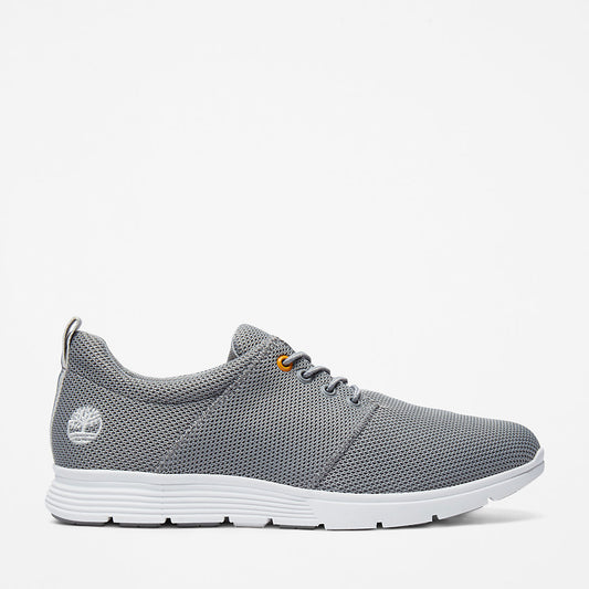 Timberland Trending - Killington Oxford Shoe for Men in Grey
