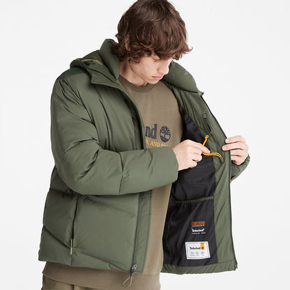 Timberland Discount - Neo Summit Winter Jacket for Men in Dark Green