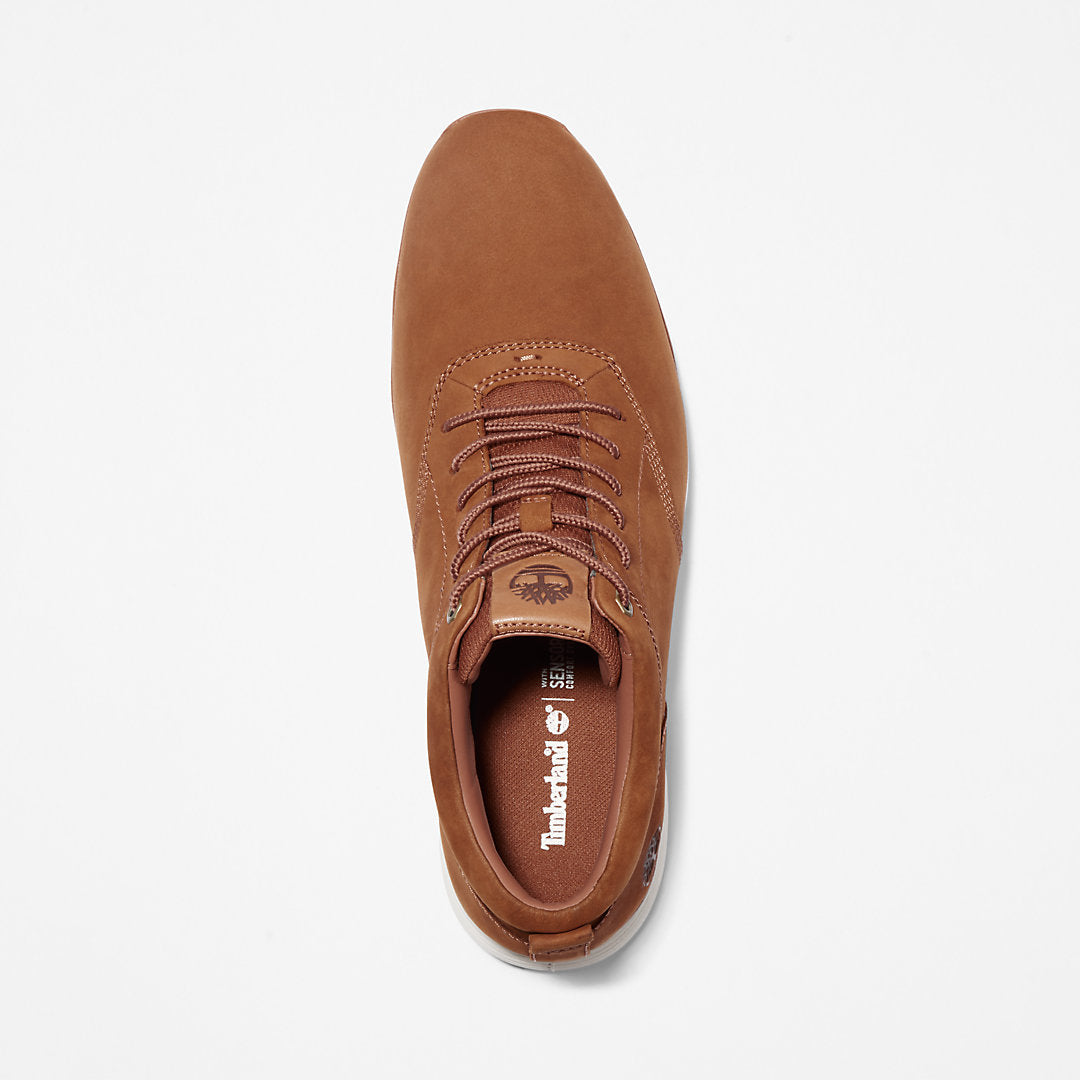 Timberland Value - Killington Sneaker for Men in Brown
