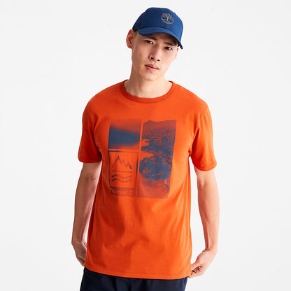 Orange,XXS,48
