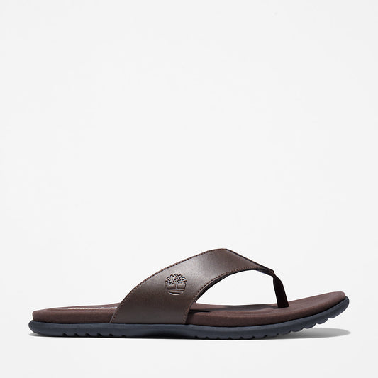 Timberland Premium - Kesler Cove Toe-bar Sandal for Men in Dark Brown