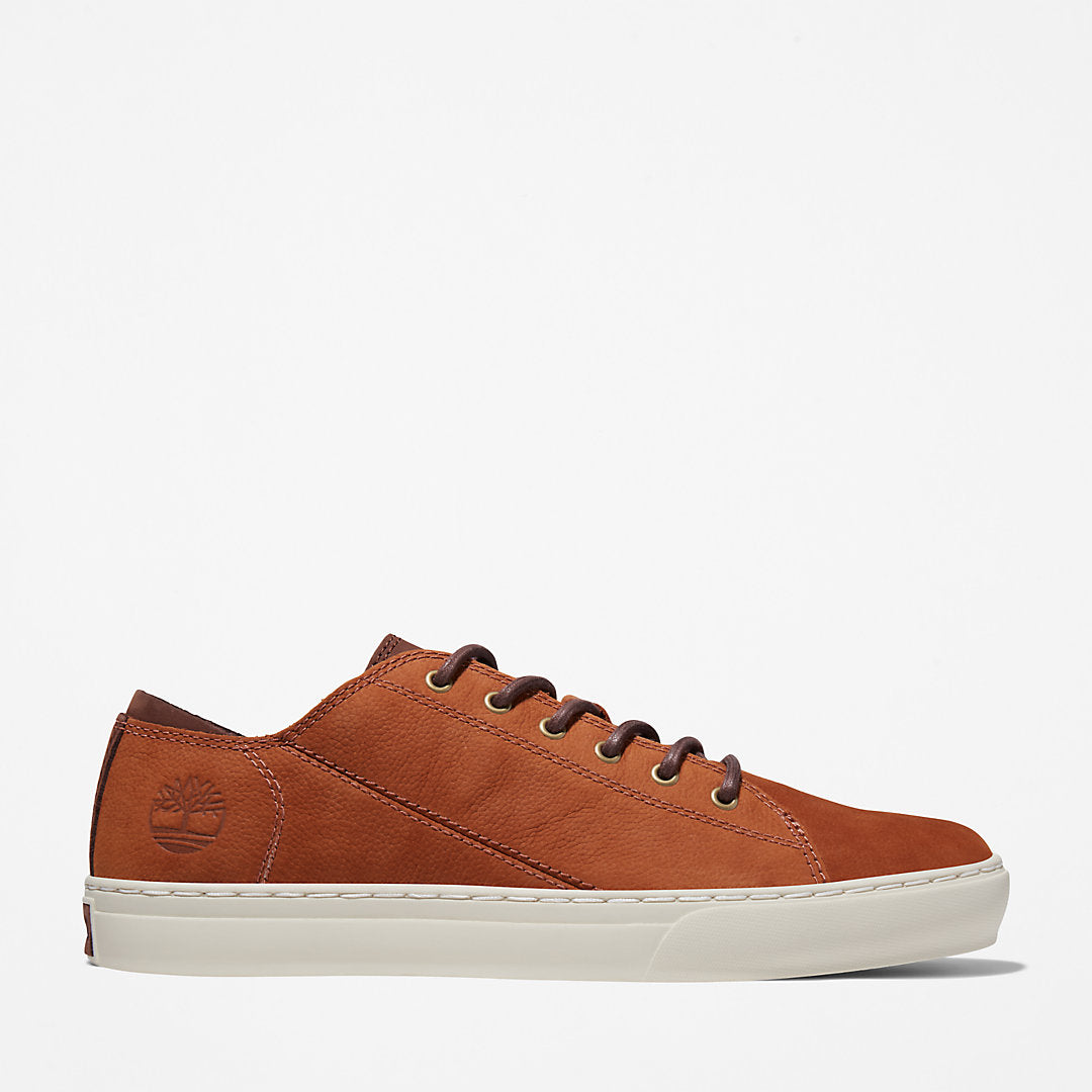 Timberland Top Pick - Adventure 2.0 Cupsole Oxford for Men in Brown