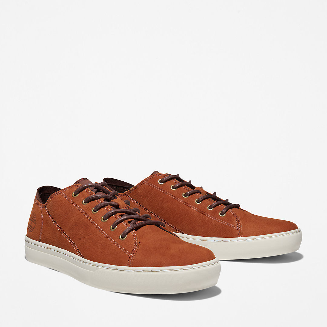 Timberland Top Pick - Adventure 2.0 Cupsole Oxford for Men in Brown