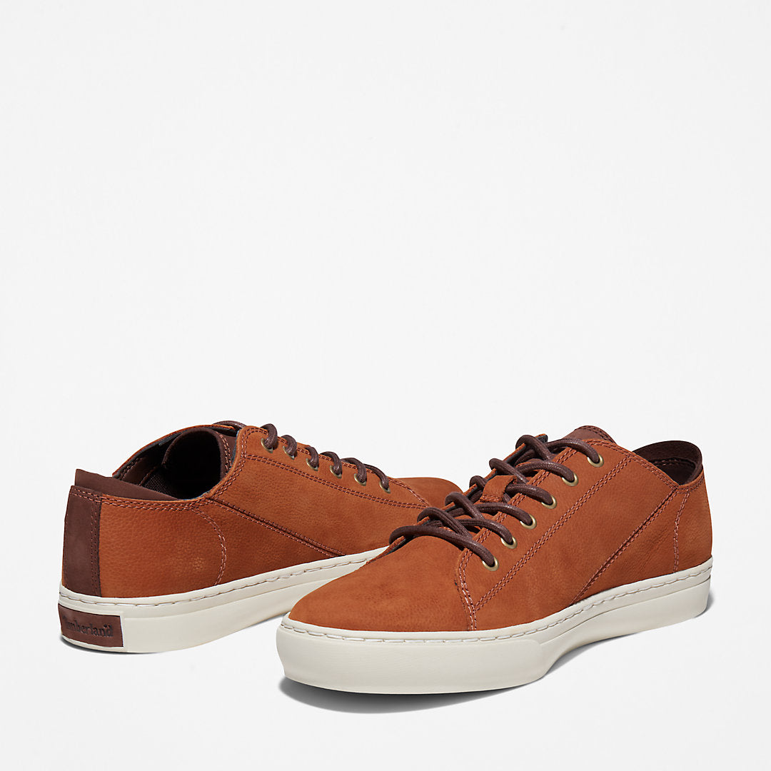 Timberland Top Pick - Adventure 2.0 Cupsole Oxford for Men in Brown