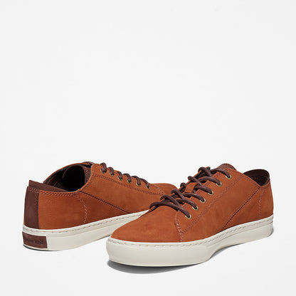 Timberland Top Pick - Adventure 2.0 Cupsole Oxford for Men in Brown